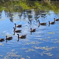 IMG 20240904 105135