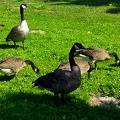 IMG 20240904 112020