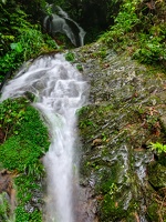 IMG 20250529 075238