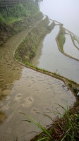 IMG 20250529 080613