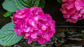 IMG 20250529 103804