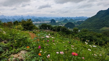 IMG 20250531 112609