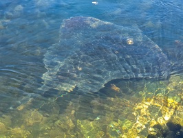 IMG 20251118 092746 1